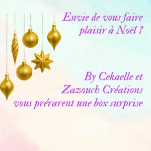 BOX de NOEL 2025